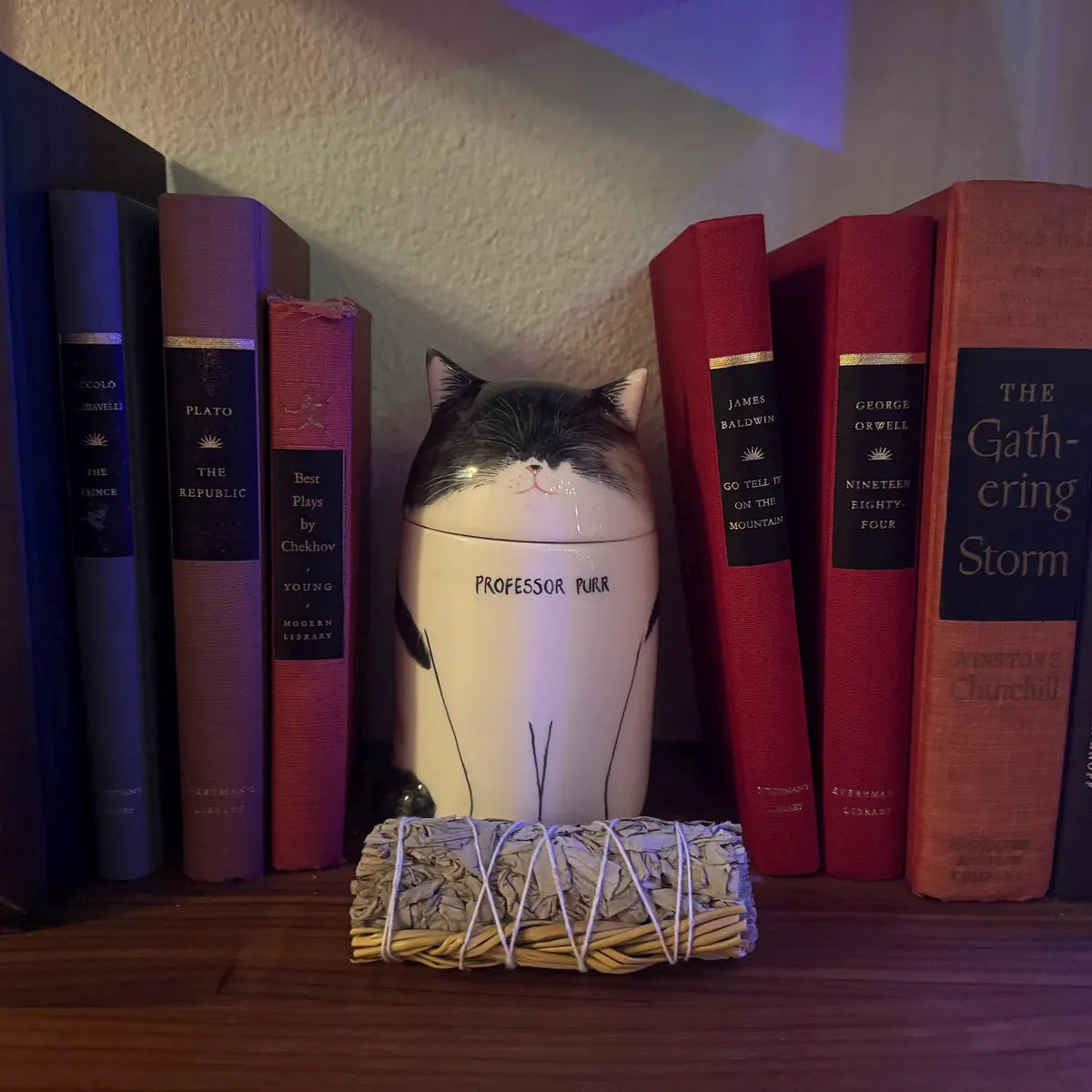 A Forever Home for Their Memories - Personalized Cat Urn Made from Your Cat’s Photo