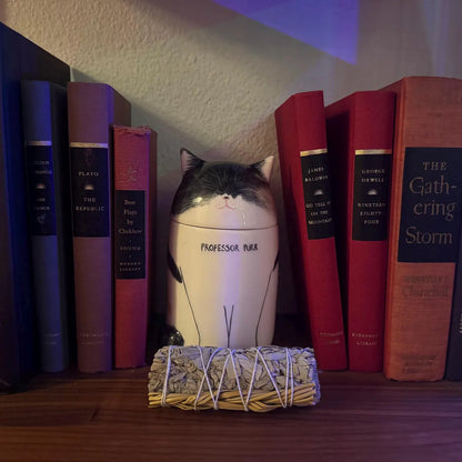 A Forever Home for Their Memories - Personalized Cat Urn Made from Your Cat’s Photo