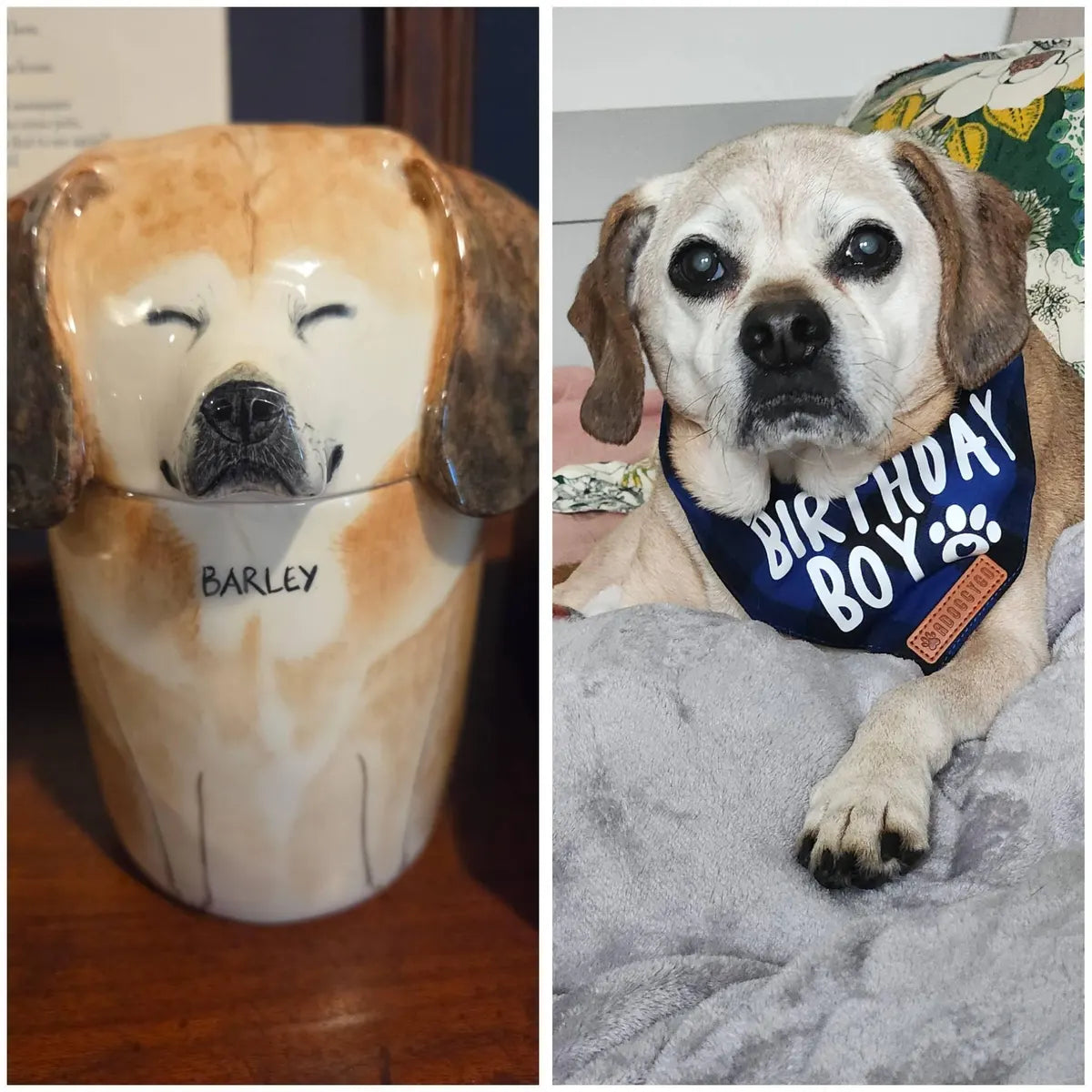 A Forever Home for Their Memories - Personalized from Your Dog’s Photo